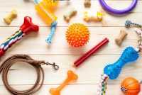 Accesorios para mascotas