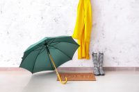Artículos para Lluvia
